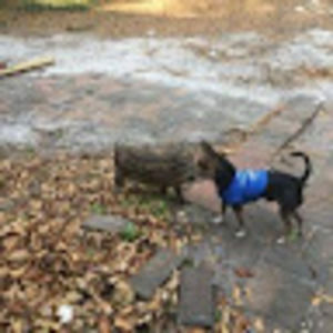 Meet your Posher, Diego